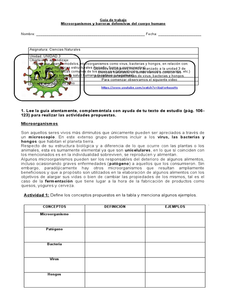 Actividades de Microorganismos para Primaria | PDF | Virus | Las bacterias