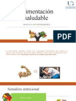 Alimentación Saludable Final