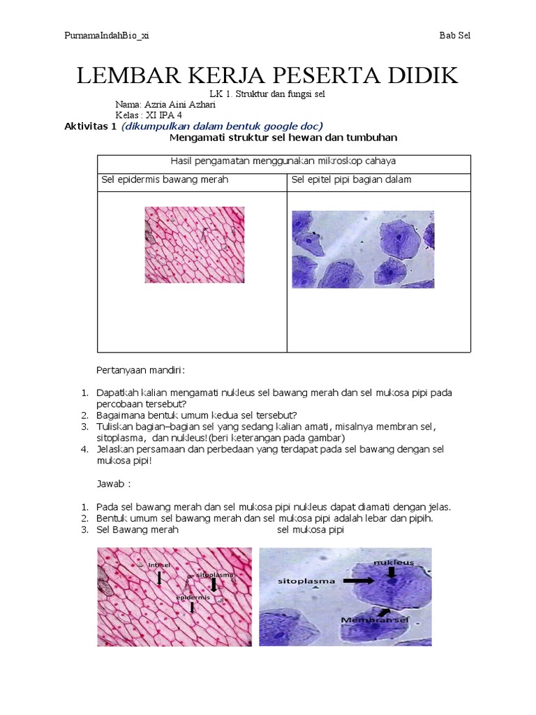 Lk Azria Aini Azhari Xi Ipa 4