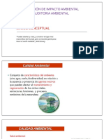 Eia 2020 A C1 Conceptos Básicos Calidad Ambiental y Salud