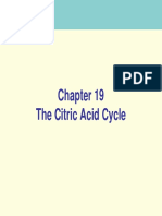 19 Citric Acid Cycle