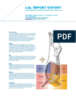 Hilal İmport Export: Live Animals Meat, Skin, Intestine Food and Oil Products, Inc