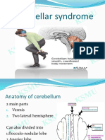 Anatomy, functions, and syndromes of the cerebellum