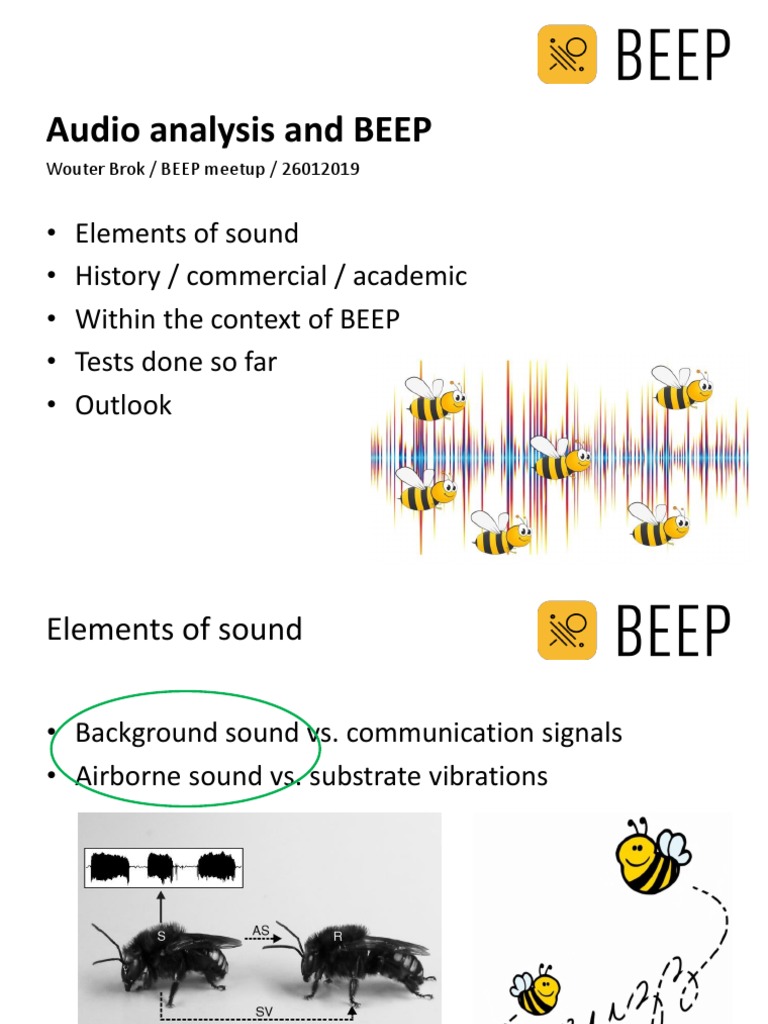 Audio Analysis in Beekeeping Research | PDF | Computer Network | Networks