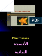 الأنسجة النباتية للدكتور حسام الدين خلاصي 2008 the plant tissue