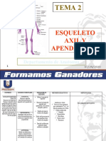 Tema 2 Esqueleto Axil y Apendicular