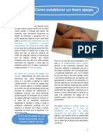 APEGO_CÓMO ESTABLECERLO.pdf