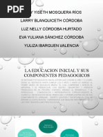Componentes de La Educacion Inicial