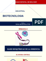 S6 Diapositivas Biotecnol 6 JL 2020