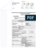 PDF Modelo Informe Incorporacion Pmidocx