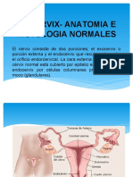 El Cervix-Anatomia E Histologia Normales