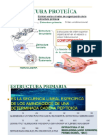 PROTEÍNAS PARTE2.pdf