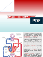 Lezione 3 Cardiocircolatorio