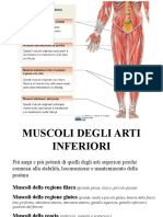 13) Arto Inferiore (II) 2016-2017