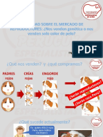 Perucuy Cizam PDF