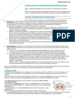 Psicobiologiaamendieta2cuatri 1 PDF