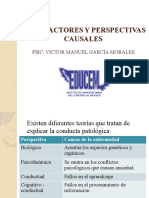 Cap 3 Factores y Perspectivas Causales