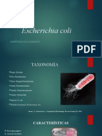 Escherichia Coli