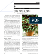 Books - Gardening - Growing Herbs At Home.pdf