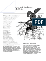 (Gardening) Protecting Gardens and Landscape Plantings From Rabbits PDF