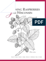 (Gardening) Growing Raspberries.pdf