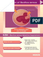 Detection of Bacillus Cereus