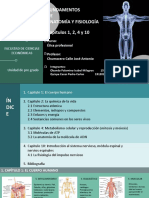 Fundamentos Anatomia 22