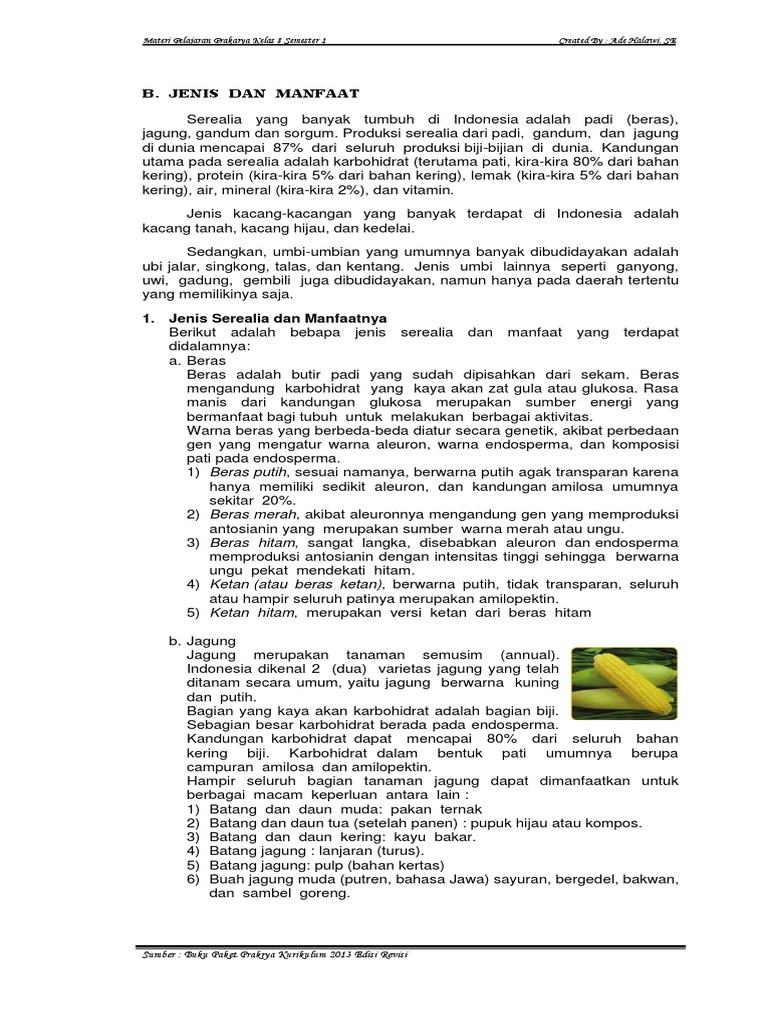 B Jenis Dan Manfaat Pdf