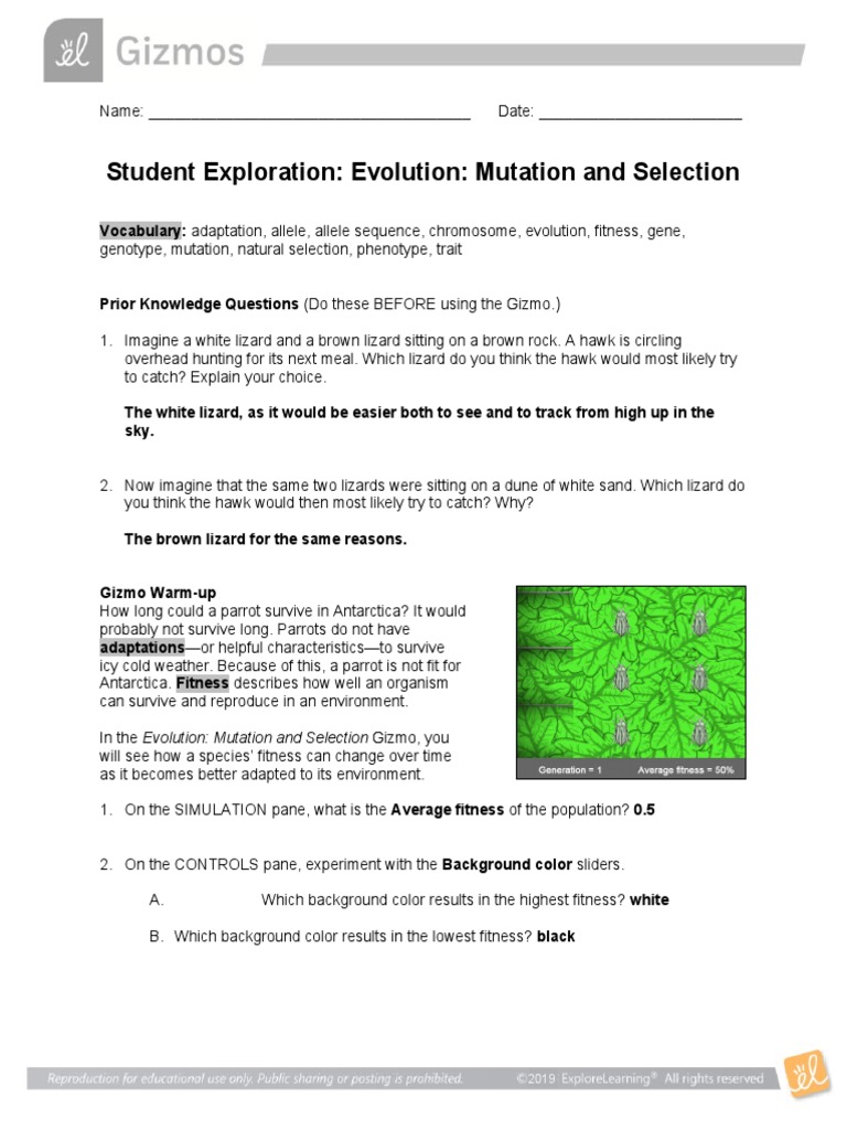 Student Exploration Evolution Mutation And Selection Gizmo Answers Fitness Biology Allele
