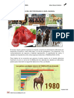 Aporte Económico Del Sector Equino A Nivel Mundial