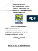 Competencias, Capacidades, Desempeños-Jhon Miyuki