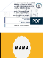 Patologia de Mama