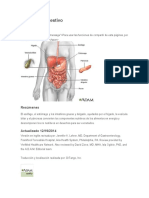 El Sistema Digestivo