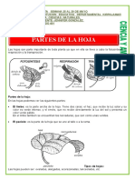 SEXTA SEMANA CIENCIAS.doc