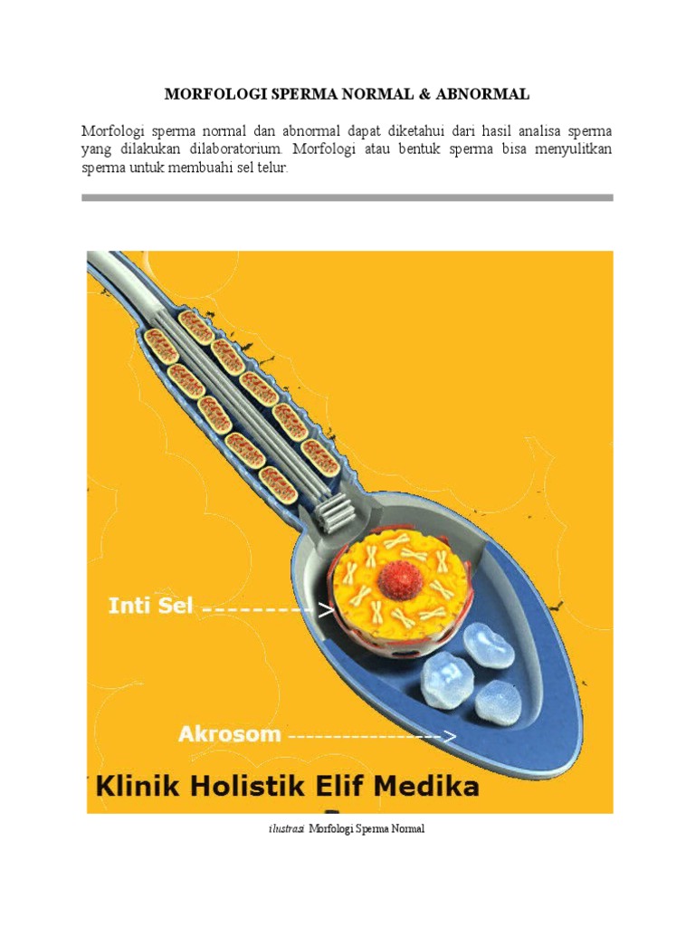 Amerikalik jinsiy erotika
