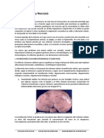 Apuntes Necrosis PDF