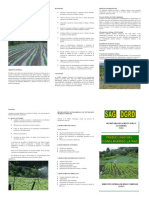 Trifolio SAG DGRD PDF