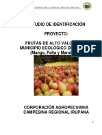 CORACA RI E.I. PROYECTO frutas alto valor (mango,palta,manda