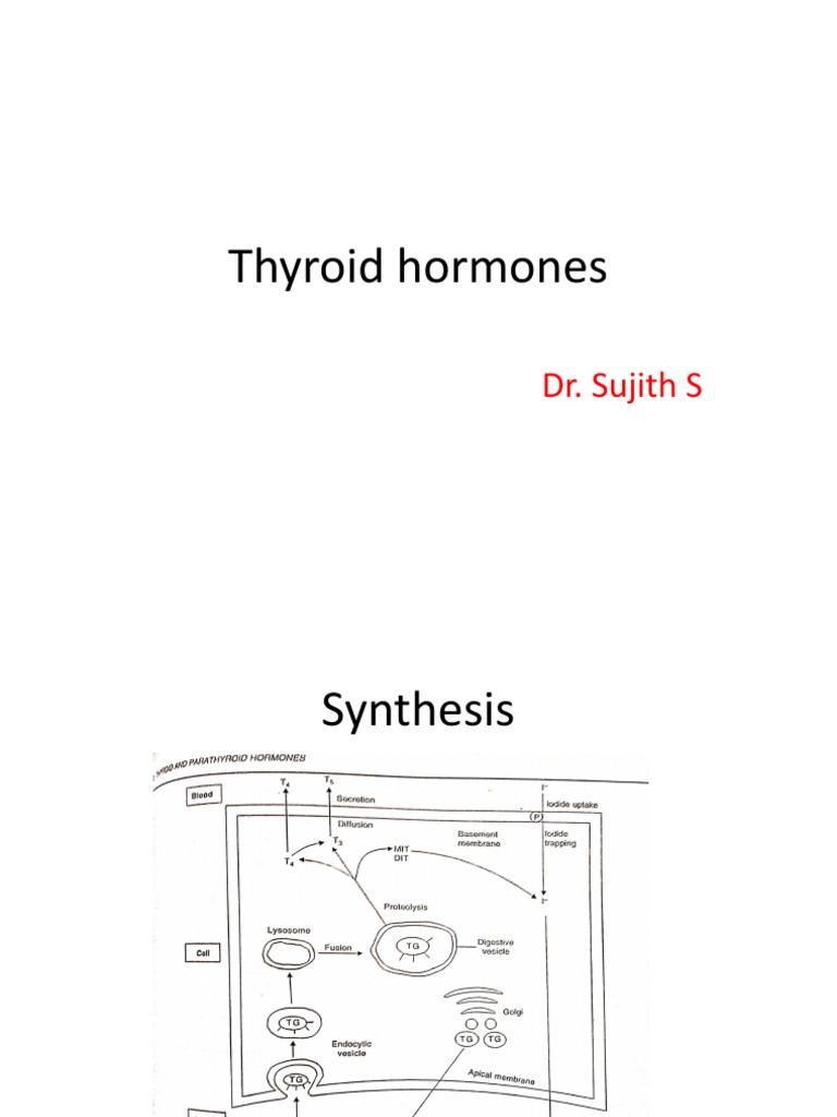 Thyroid Hormones Simplified | PDF | Metabolism | Animal Anatomy