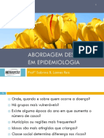 3 Abordagem Descritiva PDF