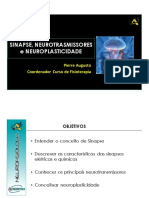 4 Processo Epidêmico pdf.pdf