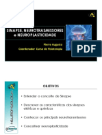 4 Processo Epidêmico PDF