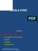 Boala Lyme