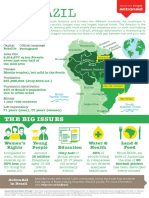 Brazil Factsheet PDF