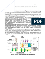 Identification of Bacteria by Gram'S Staining: Practical No.