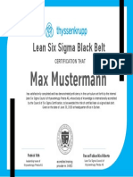 Lean Six Sigma Black Belt: Max Mustermann