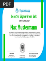 Lean Six Sigma Green Belt: Max Mustermann