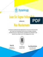 Lean Six Sigma Yellow Belt Max Mustermann: Certification That