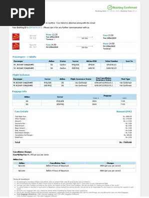 Your Flight Ticket.pdf