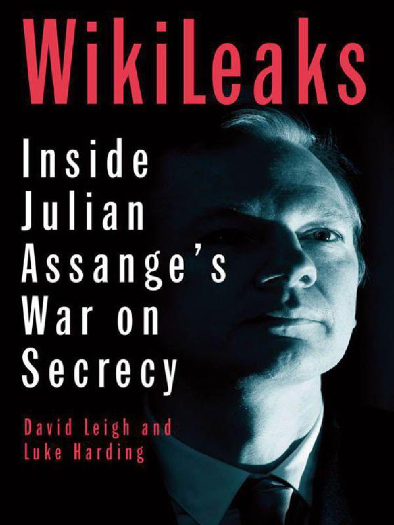 Even WikiLeaks Haters Shouldn't Want it Labeled a Hostile Intelligence  Agency